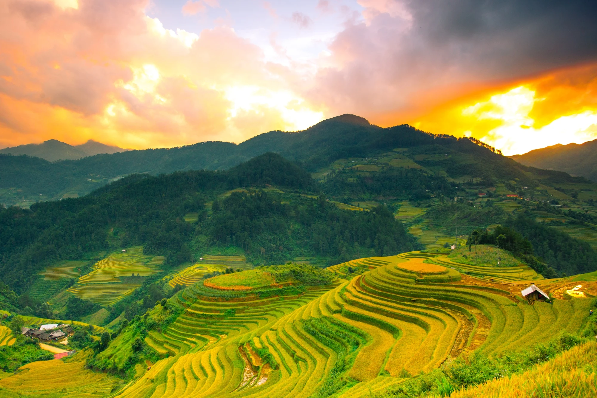 Giới thiệu chung Điện Biên
