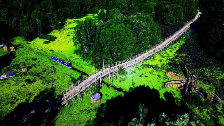 Khám phá hệ sinh thái rừng tràm Trà Sư